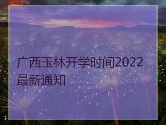 广西玉林小学生网上报名（广西玉林小学一年级新生报名时间2020）