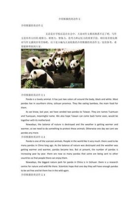 thepanda小学生作文（panda作文英语四年级）-图3