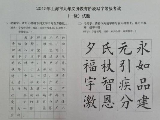 山东省小学生书法等级考试（上海小学生书法等级考试）-图3