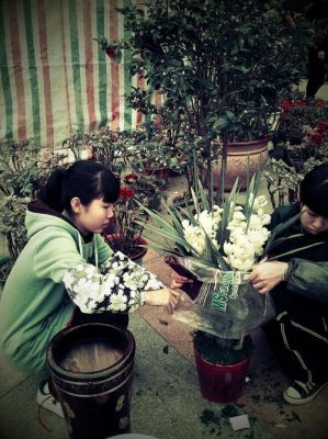 小学生卖植物（卖植物的小女孩）