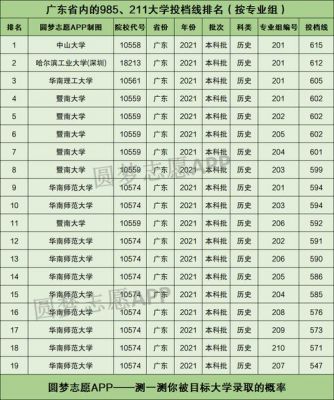 广东省985工程大学排名（广东985高校名单排名）