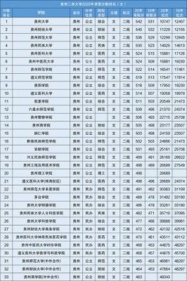 贵州省有几所二本旅游大学？（2017贵州二本高校代码）-图2