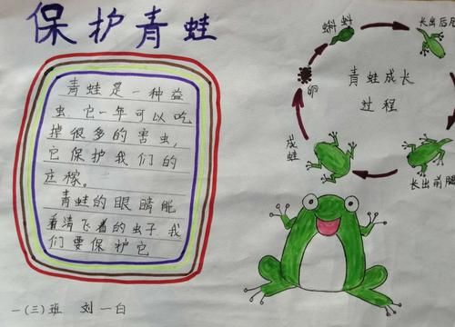 小学生关于保护青蛙的简单介绍