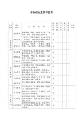 北京市中小学生综合素质评价怎么写（北京中学生综合素质评价怎么填）-图2