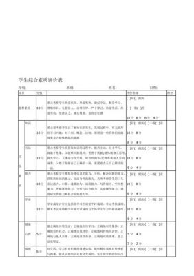北京市中小学生综合素质评价怎么写（北京中学生综合素质评价怎么填）-图1