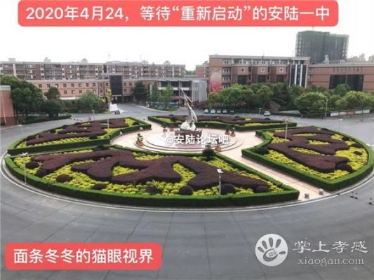 湖北省安陆市太白中学那有个什么医院？（安陆一中 招生代码）