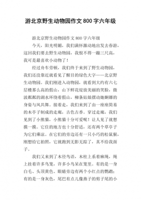 去北京野生动物园小学生要写观后感（北京野生动物园感受）-图2