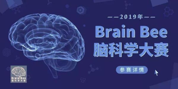 国际脑科学竞赛（国际脑科学竞赛成绩查询）