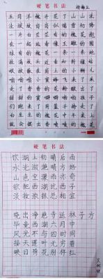 上海小学生硬笔书法书写要求（上海小学生硬笔书法书写要求是什么）-图2