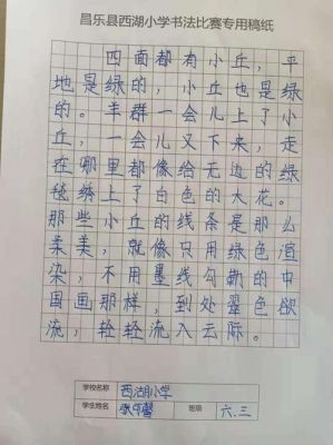 上海小学生硬笔书法书写要求（上海小学生硬笔书法书写要求是什么）-图1