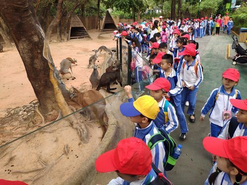 小学生走进动物园社会实践总结（学生去动物园参加社会实践活动报道）