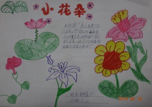 小学生关于花的手抄报图片大全图片（关于小学生的手抄报）