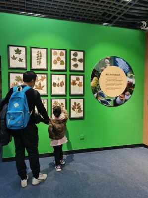 妈妈自然博物馆竞赛（北京自然博物馆竞赛）