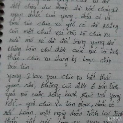 越南之旅小学生一年级作文（越南之旅英文翻译）