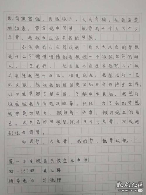 小学生中国梦的作文三百字以上的简单介绍-图3