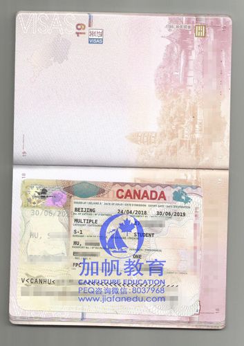 中小学生加拿大留学（加拿大小学生留学签证）