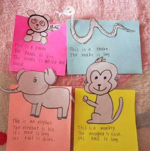 小学生做动物卡片怎么做（小学生做动物卡片怎么做好看）