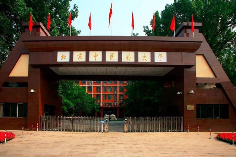 北京医药大学是985（北京医药大学是211还是985）