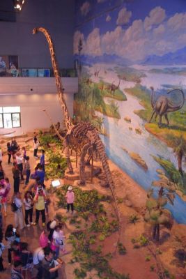 小学生二年级作文自贡恐龙博物馆（自贡恐龙博物馆的作文）