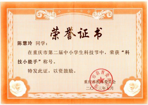 重庆市中小学生获得奖励（重庆市中小学生获得奖励的条件）-图2