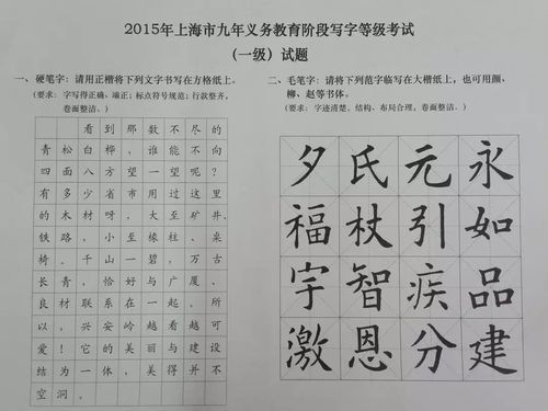 上海小学生硬笔书法书写规范（上海小学硬笔软笔书法考试）-图2
