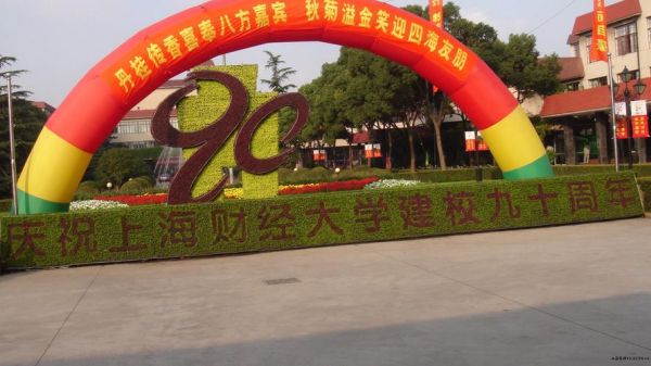 上海财经大学官网是985吗（上海财经大学怎么样是985吗）
