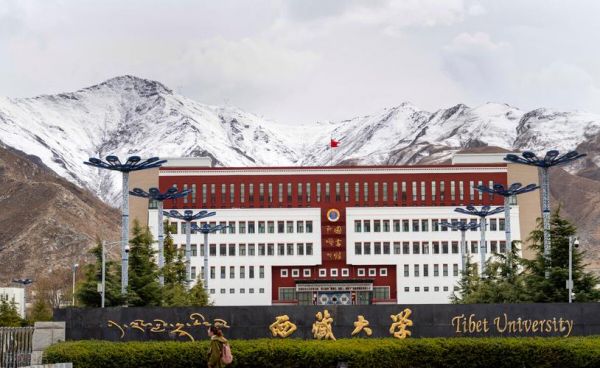 西藏大学是985211（西藏大学是211还是985）-图2